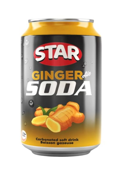 Ermi cafe item GINGER SODA